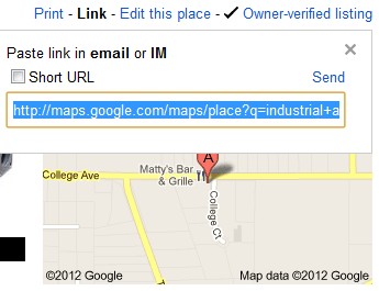 Google Places Listing - Copy Link URL