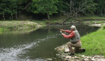 NAP Propagation Downstream